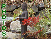 Landscaing and Garden Maintenance Photos