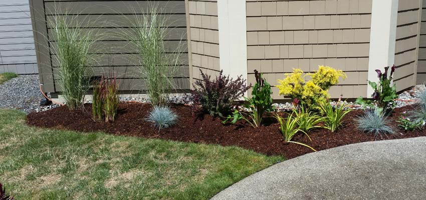 Softscapes Landscaping Design